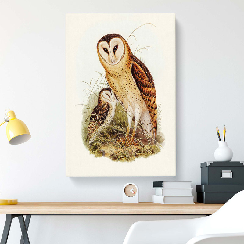 Grass-Owls by Elizabeth Gould - Wrapped Canvas, 50cm H x 35cm W x 3cm D