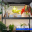 Barrina T5 Grow Lights For Plants d'intérieur à spectre complet, 1 pi 10 W (2 x 5 W), plante d'intérieur, jaune, 2 paquets