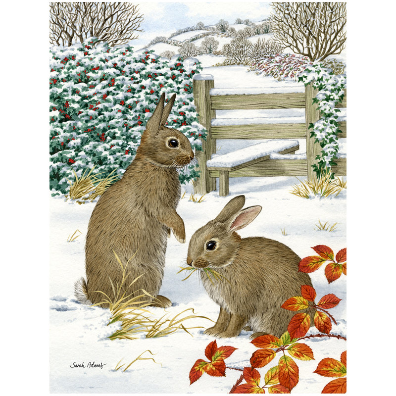 Polyester à 2 côtés 40 x 28 po de lapin drapeau maison
