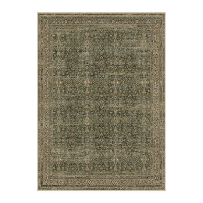 Kellems Vintage Machine Washable Area Rugs For Living Room With Non-Slip Backing