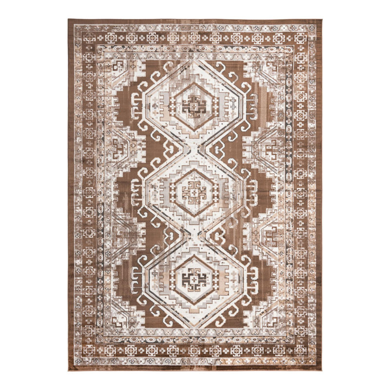 Charlotte Oriental Indoor Rug, Rectangle 10' x 14'