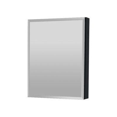 Adelita Bathroom Medicine Cabinet with Mirror Door & Adjustable Glass Shelves