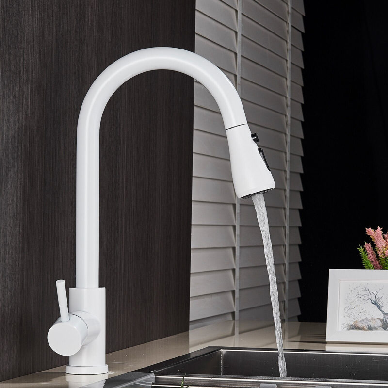Belfry Kitchen Thomasina Kitchen Faucet