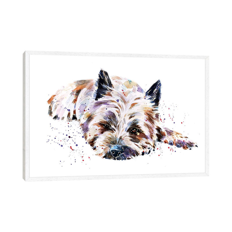 Cairn Terrier I by EdsWatercolours - Painting on Canvas, 45.72cm H x 66.04cm W x 3.81cm D, White Framed