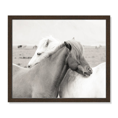 Icelandic Meadow Horses by Danita Delimont - Picture Frame Photograph on Paper