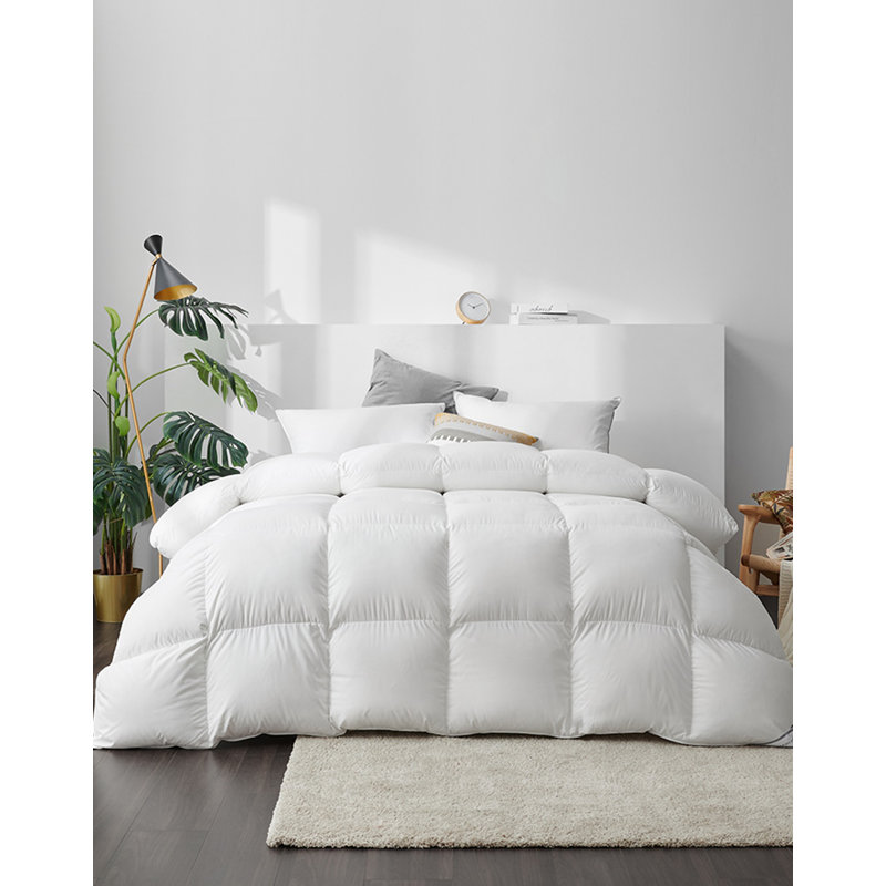 Thionville 625Fill Power 700 Thread Count White Down Cotton Comforter, Twin Comforter