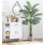 84 plantes