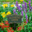 Song Bird Personalized Garden Sign-951434600-948510618