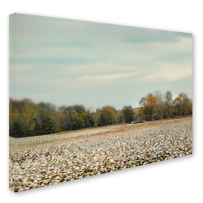 «Cotton Field in Autumn» par Vidur, reproduction de photo sur toile tendue