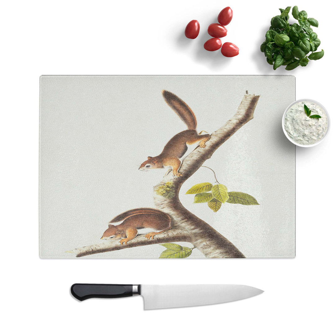Tempered Glass Columbian Squirrels Chopping Board