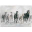 «Run Wild» - Impression sur toile tendue-256963337