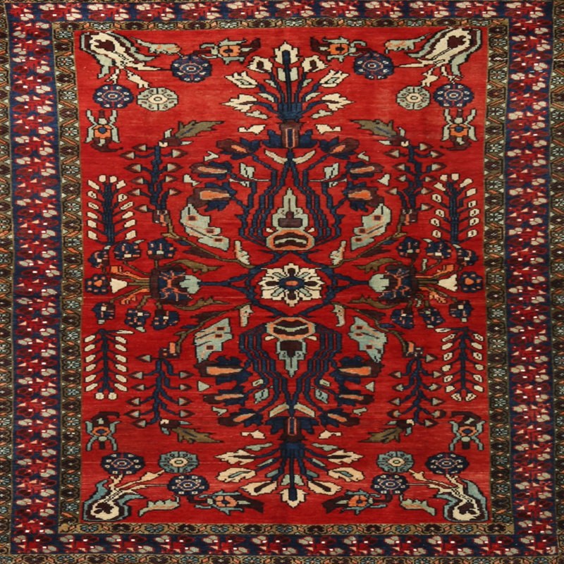 Oriental Indoor Rug, Square 6'