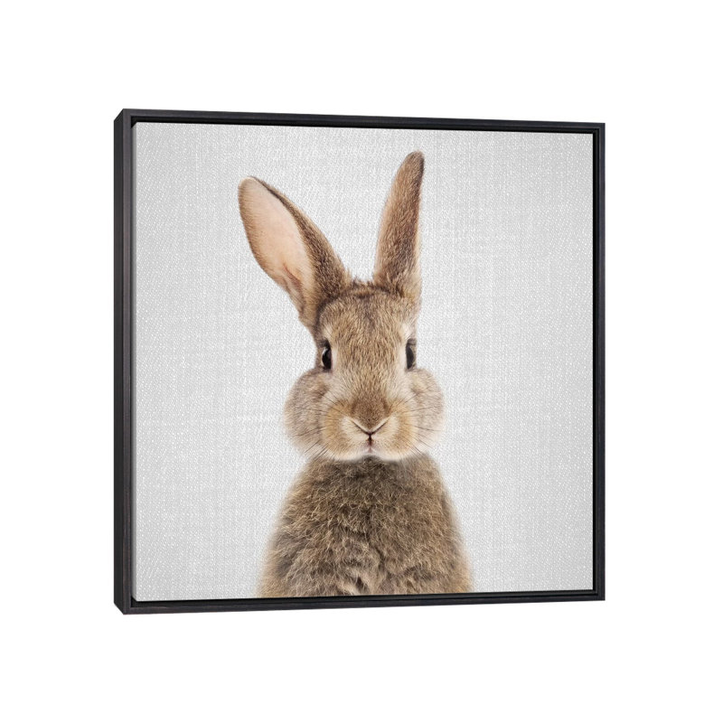 «Rabbit» - reproduction de photo, Cadre noir vieilli, H 37 po x l 37 po x P 1,5 po