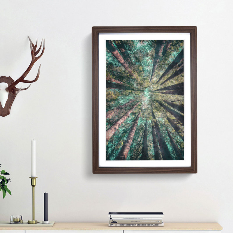 Redwood Trees in California - Picture Frame Graphic Art Print, 33cm H x 24cm W x 2cm D, Walnut Framed