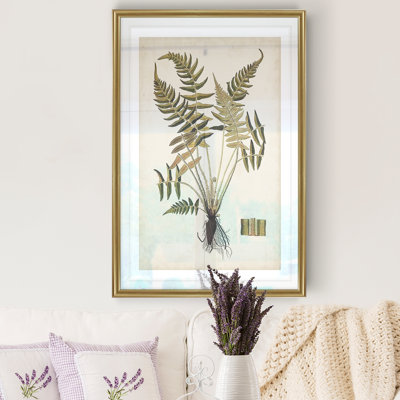 " Fern Botanical IV "