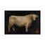 «Beau» par Avery Tillmon, reproduction sur toile tendue-72507655-27702464-72507656