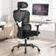 Chaise de bureau ergonomique avec accoudoirs lombaires