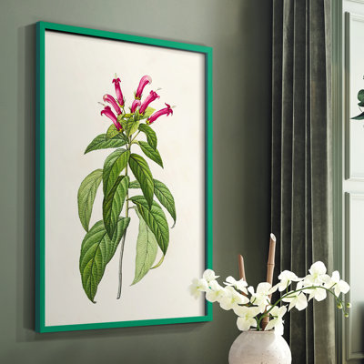 «Pretty Pink Botanicals», reproduction encadrée en bois massif