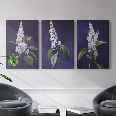 Floral Study  Series  LXXVII  -Premium Gallery Wrapped Canvas Set -Ready to Hang