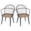 Ensemble élégant de chaises de salle à manger d'intérieur avec pieds en métal et siège en bois, parfait pour un décor moderne et industriel