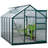 Aaliegha 6 Ft W x 10 Ft D Greenhouse