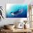 Brampt Underwater Orca-108156114