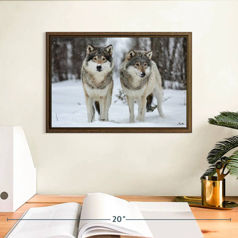 Loups dans le parc naturel de Langedrag, 13 po x 9 po, Cadre flottant noyer