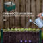 Raised Garden Bed