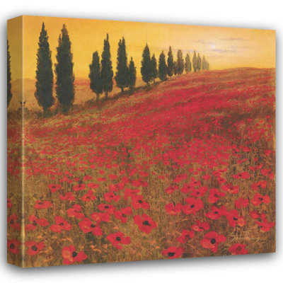 Poppies