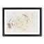 Crisp White Rose - Single Picture Frame Painting on MDF-56853699-56853700