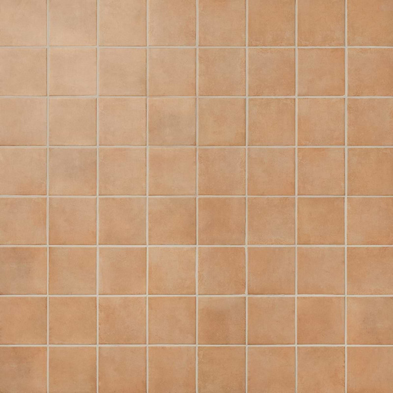 Essa 6x6 Terracotta Look Matte Porcelain Floor and Wall Tile, Terracotta
