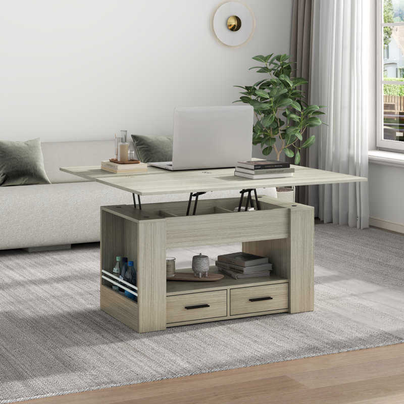 Table basse à plateau relevable, table basse multifonctionnelle 4 en 1 avec rangement, Gris
