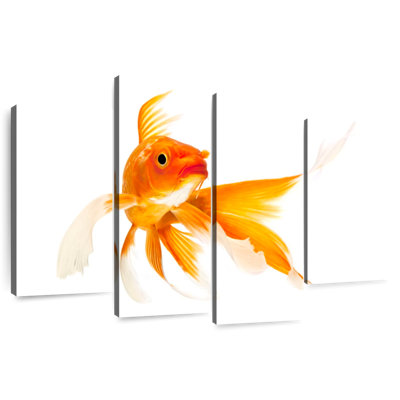 Brampt Goldfish