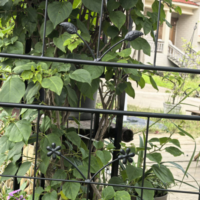 Metal Trellis For Climbing Vegetables And Flowers, 2 Pack, Heavy - Duty Galvanized, 71" Tall, Supports Cucumbers Pack Indoor/Outdoor Plant Trellis, 20" X 71", Powder Coated Durability, Ideal Ivy Roses