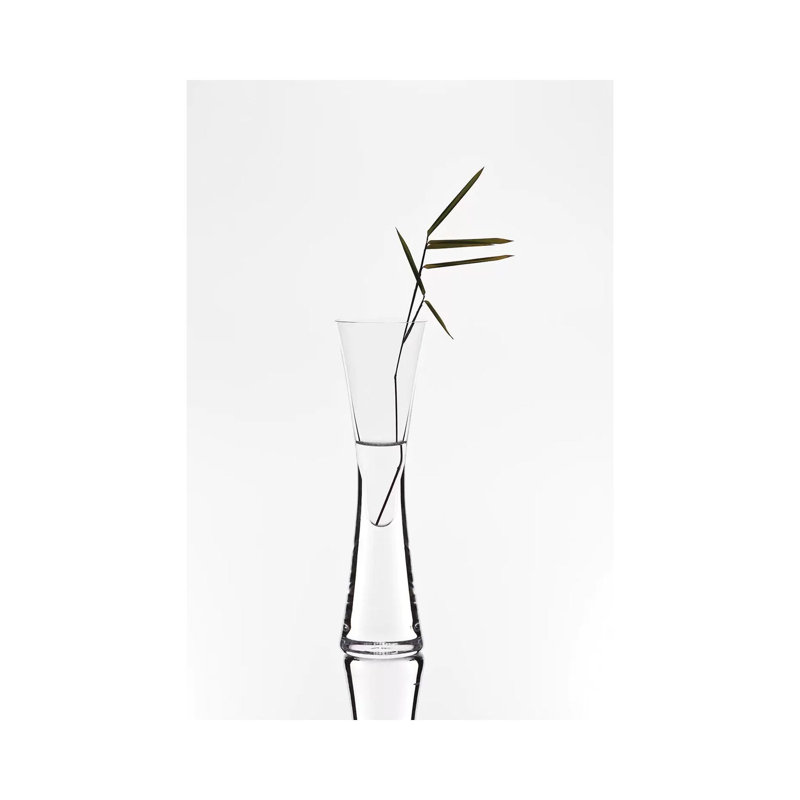 Bamboo 1 Piece Wrapped Canvas Wall Art, 101.6 cm H x 66.04 cm W