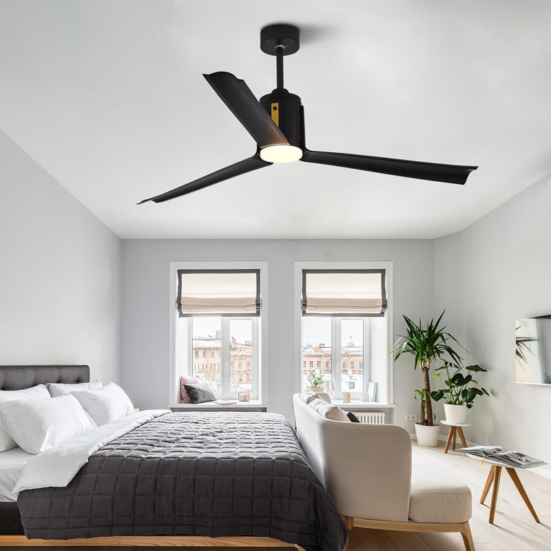 60 Inch Black Ceiling Fan With Light