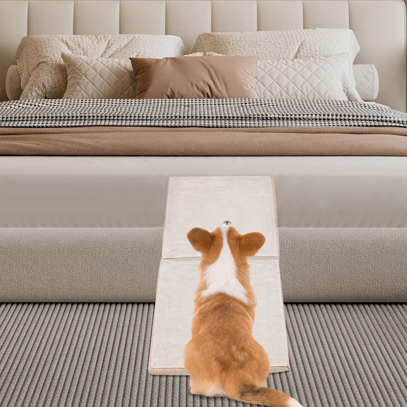 Rampe pliante pour chien, rampe pliante 2 en 1 pour animaux