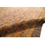 Oriental Area Rug in Brown
