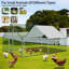 Parc à poules Dannish-88681573