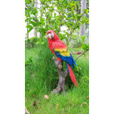 Parrot on Branch Statue