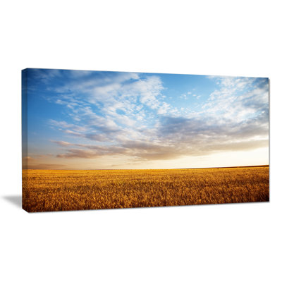 " Wheat Field Under Summer Sky Photographic Print "