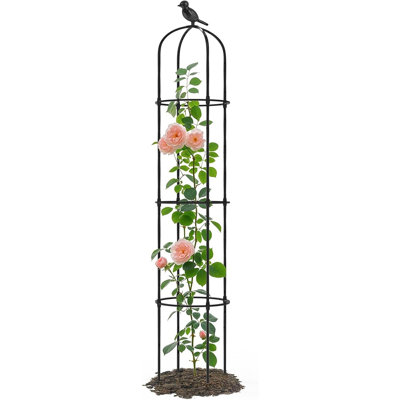 Obelisk Trellis For Climbing Plants Outdoor, 69 Inch Rustproof Metal Plant Support With Adjustable Rings For Potted Vines, Garden Trellis For Indoor And Outdoor Use, 1 Pack
