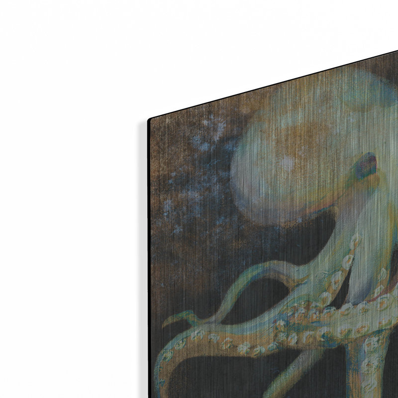  «Ocean Octopus On Black» par Danhui Nai, art mural en métal, H 24 po x l 24 po