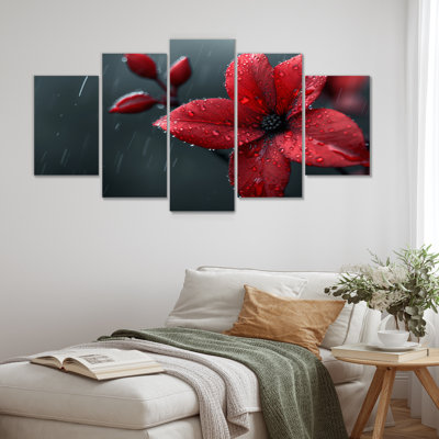 Red Red Poinsettia Raindrop Reflections II - plantes, art mural sur toile