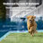 PetSafe® In-Ground Pet Fence
