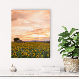 Signature World " Plateau Du Soleil "