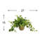 Nunn Faux Ivy Plant in Fiberstone Pot-557211658-557211659