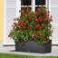 Lattice Panel Trellis-16516414