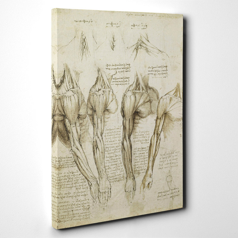 Leonardo Da Vinci - Wrapped Canvas Painting, 76cm H x 50cm W