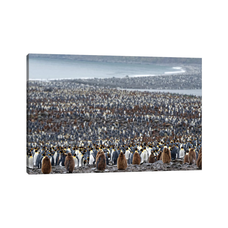 Many by Kahi - Wrapped Canvas Print, 20.32 cm H x 30.48 cm W